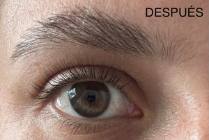A76d6ce484e8e4ef391a20e93039d2128t.jpg